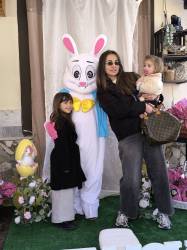 Gallery Pasqua 2026